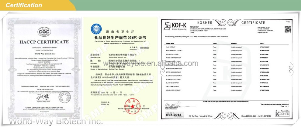 Free sample for trial HACCP Kosher FDA China manufacturer R&D advantage product strong antioxidant cocoa polyphenols
