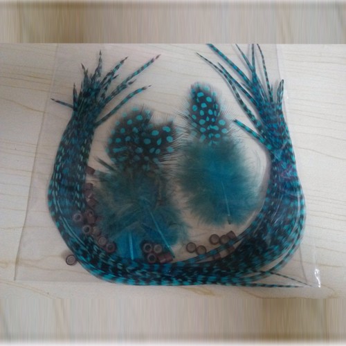 blue feather hair (1)