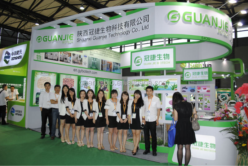 GMP Natural Cocoa Powder For Food Grade