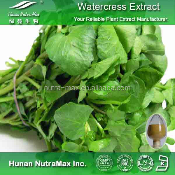 high quality watercress p.e./nasturtium officinale p.e.