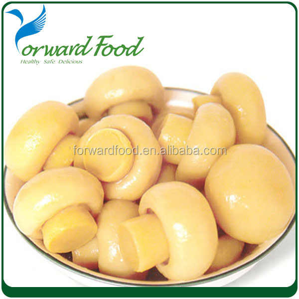 Top quality canned mushroom China