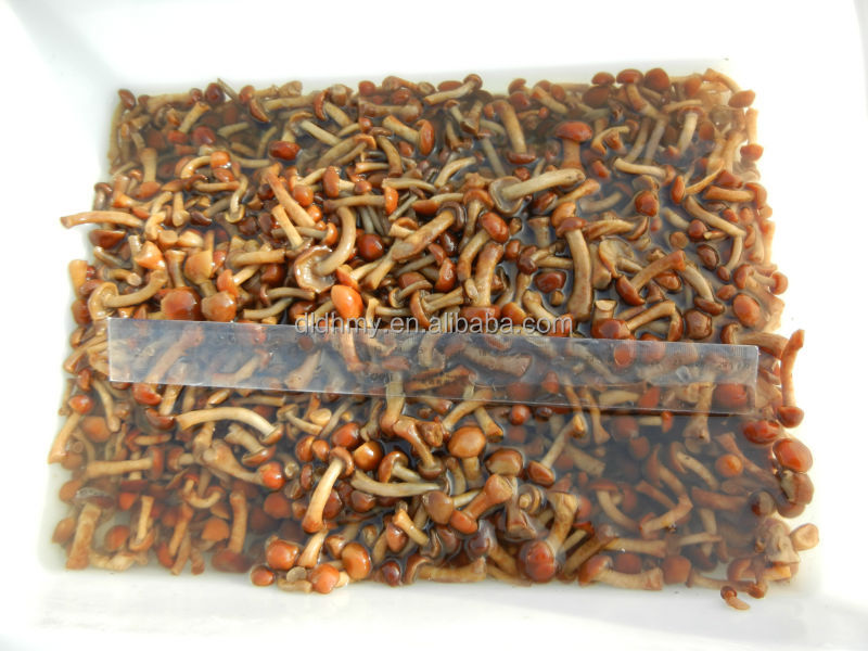 market prices for mushroom canned nameko mushrooms in brine in boiled