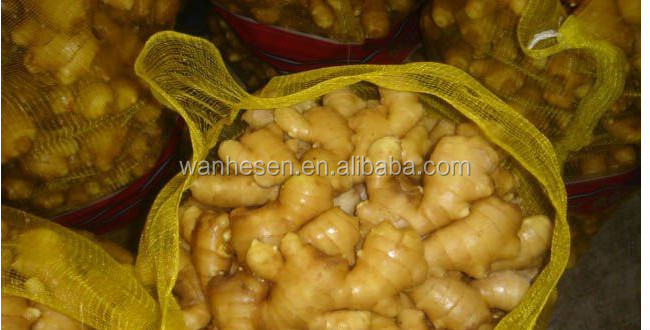 2014 High Quality New Crop Fresh ginger export For UK,CANADA,USA and EU Market best selling ginger