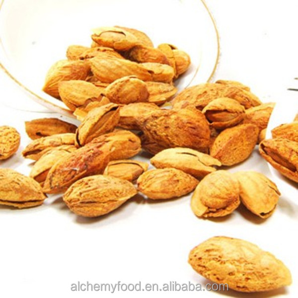 Chinese supplier manufacturer wholesale almonds,China Alchemy price