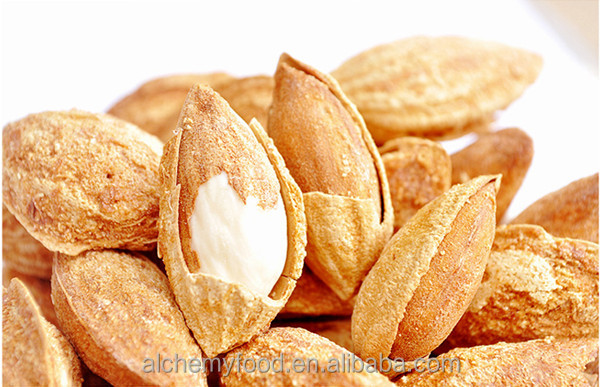 Chinese almonds in shell /all kinds of almonds /bulk almonds
