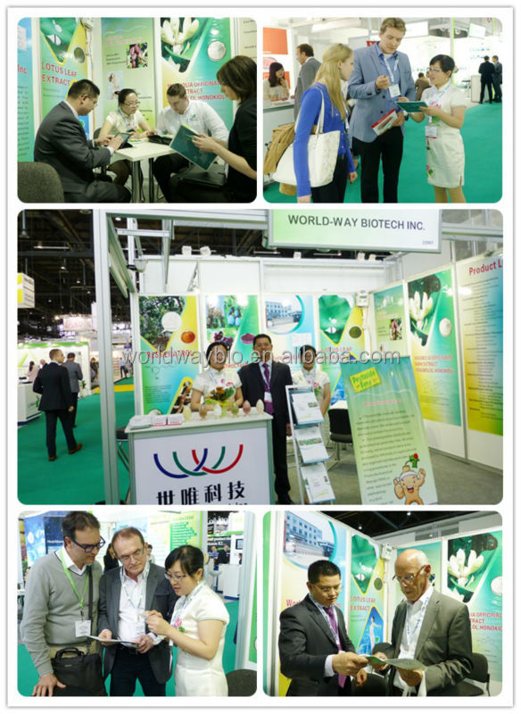 Free sample for trial HACCP Kosher FDA China manufacturer R&D advantage product strong antioxidant c