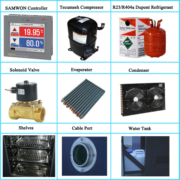 Electronic Power Constant Climate Test Chamber Laboratory Usage Constant Temperature Humidity Chamber