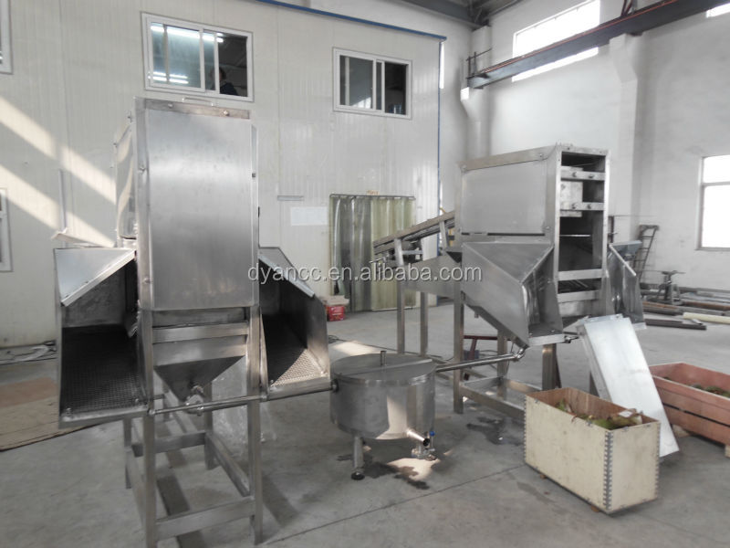 new designed coconut processing machine
