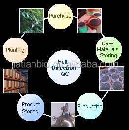 100% natural product Cocoa extract, Theobromine 6%- 20%