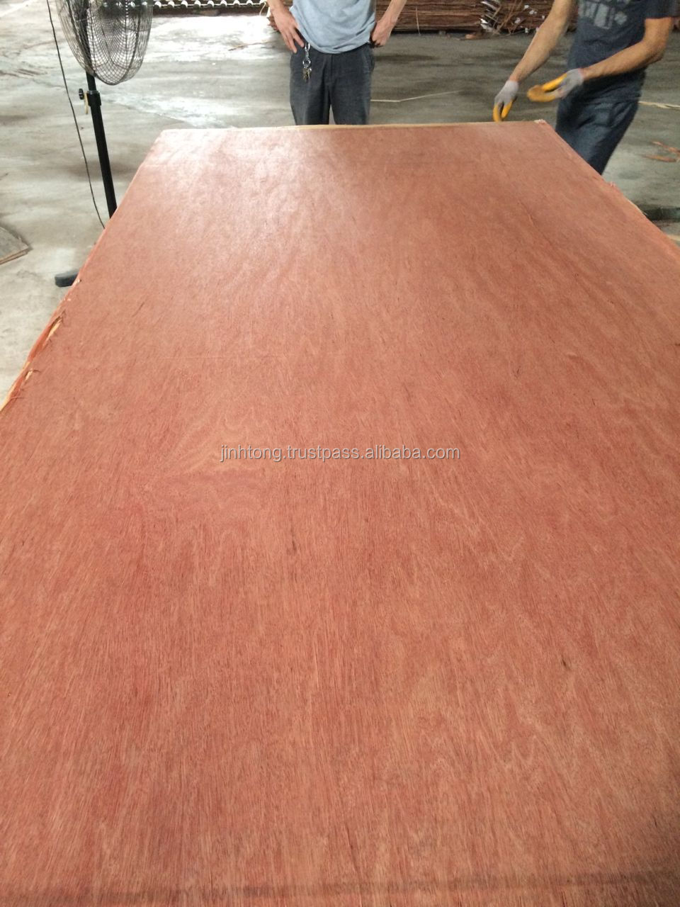 商業用合板木材、 ユーカリの堅木張り合板販売のための使用される 問屋・仕入れ・卸・卸売り
