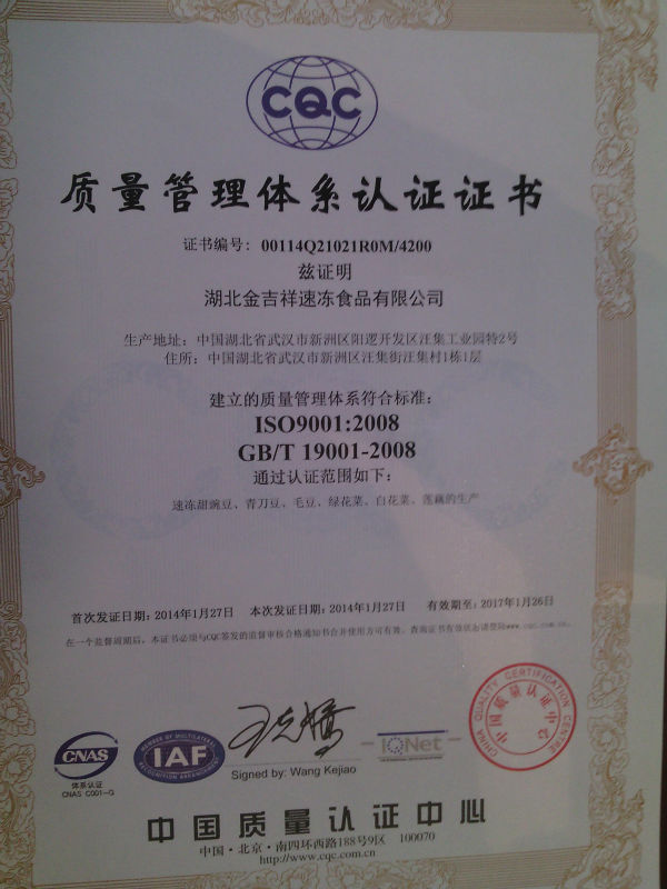 importers frozen vegetables cauliflower from Chinese supplier