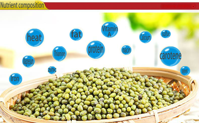 25/50kg Mung bean sprout in pp bags