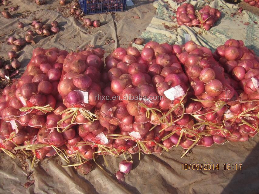 2014 new crop fresh red onion with good price