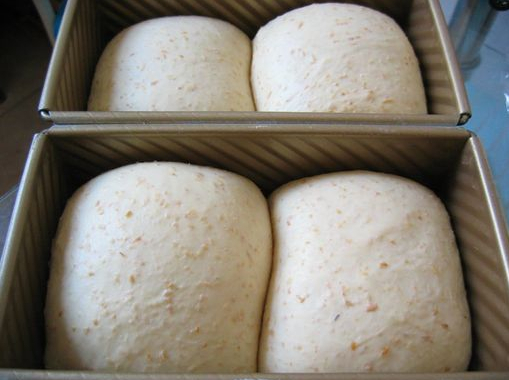パン屋のための高品質yoslonが付いているステンレス鋼プルーファpu仕入れ・メーカー・工場