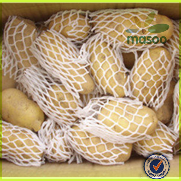 new fresh holland potato 150-200g export