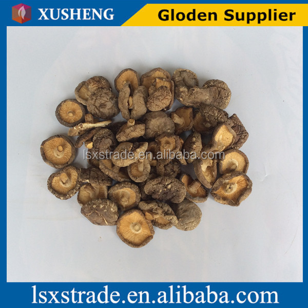shiitake mushroom with cheap price(B)
