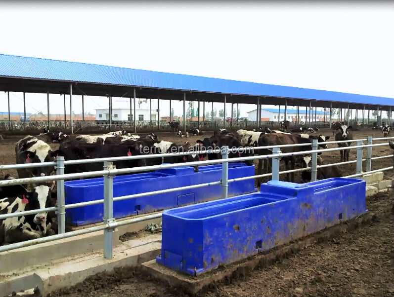 Premier Large Heated Water Trough For Cattle,Horse Buy Drinking Tank