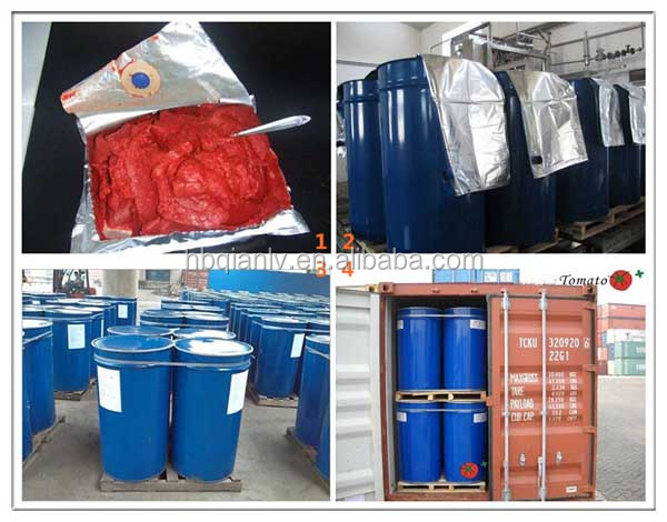 tomato paste processing plant