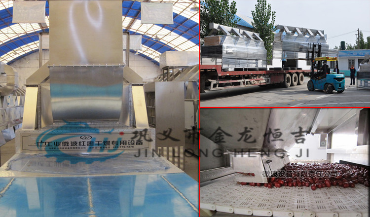 Large Handling New Technology Microwave Tunnel Commercial Food Dryer