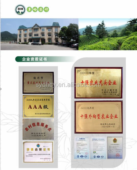 china gunpowder royal green tea leaves 3505AAA(3505 serials) for promotion
