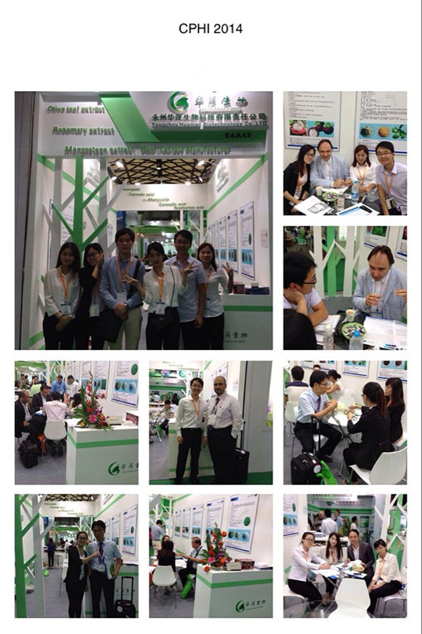 best price for the plant extract EGCG Powder Pure White Tea Extract