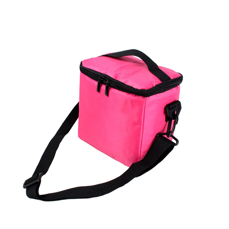 Small Order Accept Top Selling Quality Assured Ladies Cooler Bags