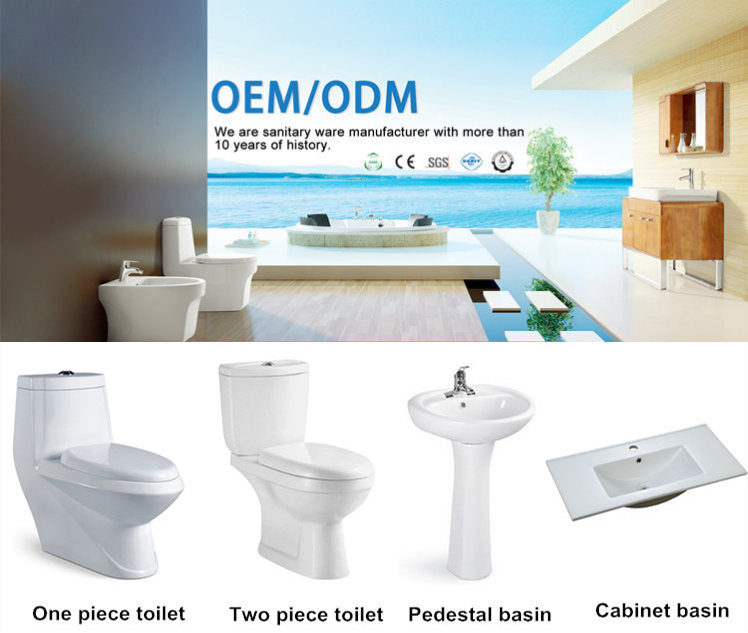 toilet and basin