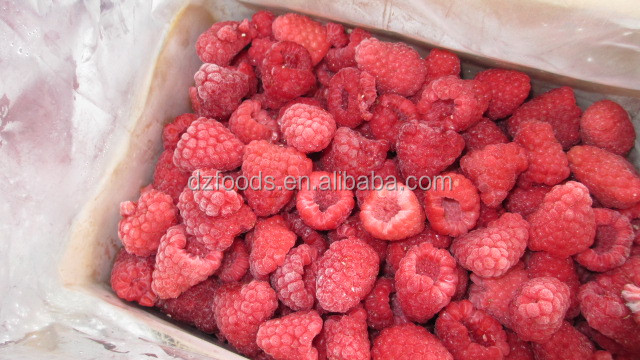 raspberry seed extract