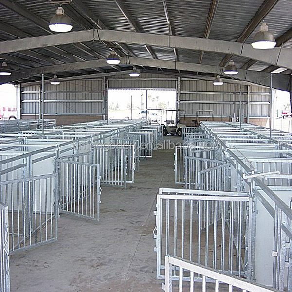 pigphoto