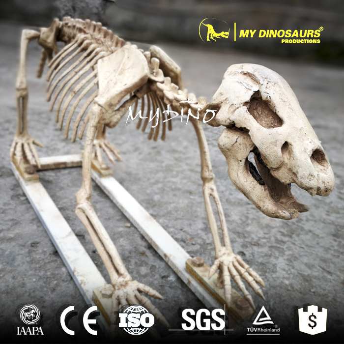 Cave Bear Replica 1.jpg