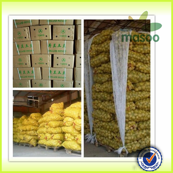 2014 Fresh Potato From Shandong China factory and exporter