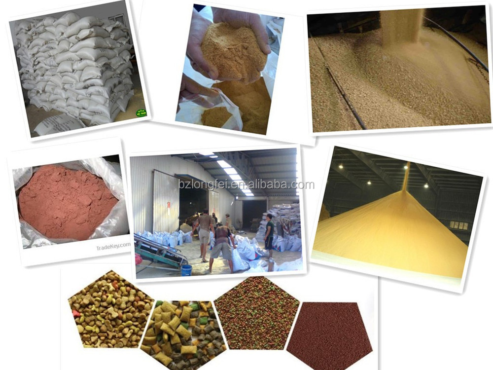 60 Protein yellow corn gluten meal price for Sale,China LongFei price