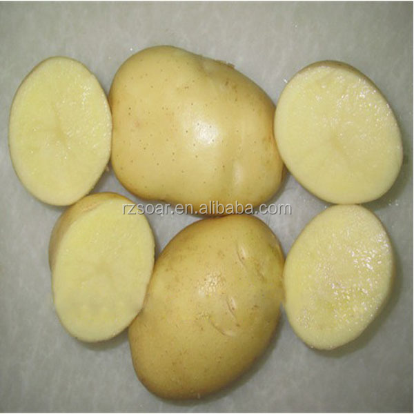 Fresh potato packed in mesh bag