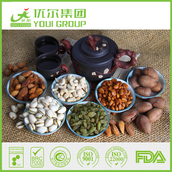 Macadamia Nuts