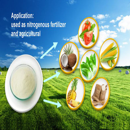 China Wholesale cocoa bean extract