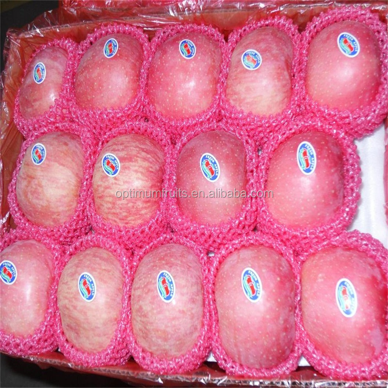 fuji apple 9.JPG