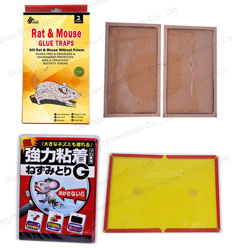 mouse-glue-board0004