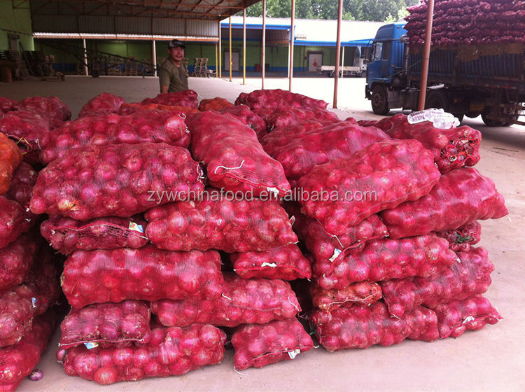 Fresh Onion Hot Sale Onion New Crop Onion Wholesale Onion Prices Onion High quality Onion Exporter