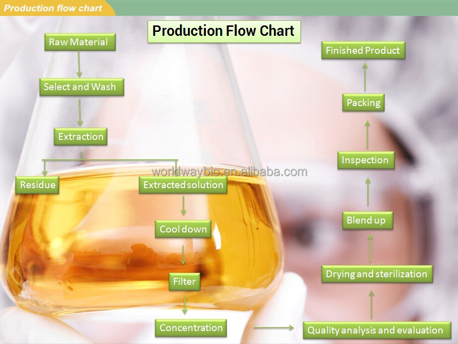 GMP factory making high quality 98% polyphenols organic green tea extract powder