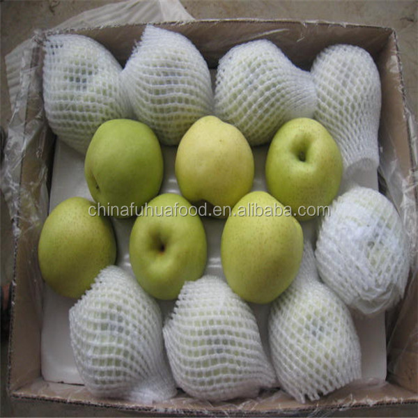 Fresh Shandong Pear 2014