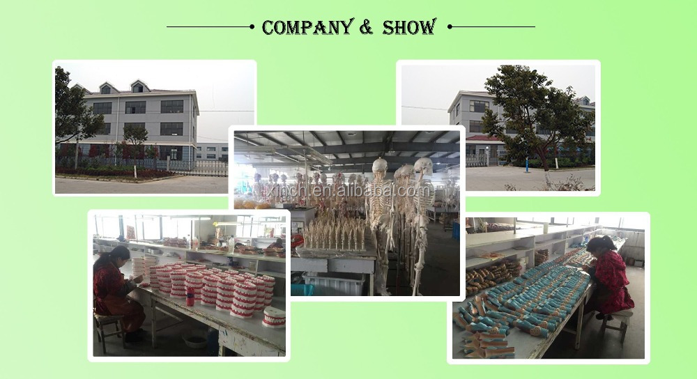 COMPANY SHOW.jpg