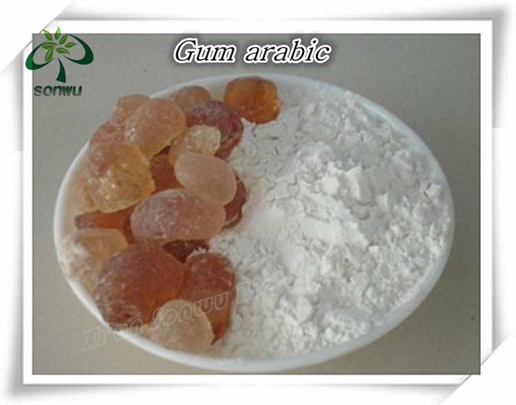 gum arabic price/acacia gum/gum acacia