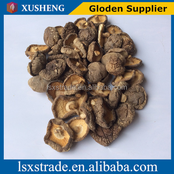 shiitake mushroom with best price (B)