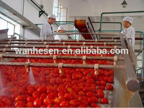 HALAL canned tomato ketchup raw material 2200g