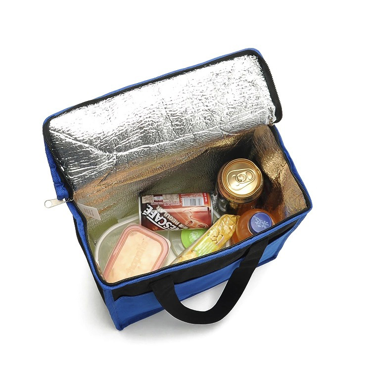 Manufacturer 2015 New Arrival High Standard Cooler Bag 6Pack