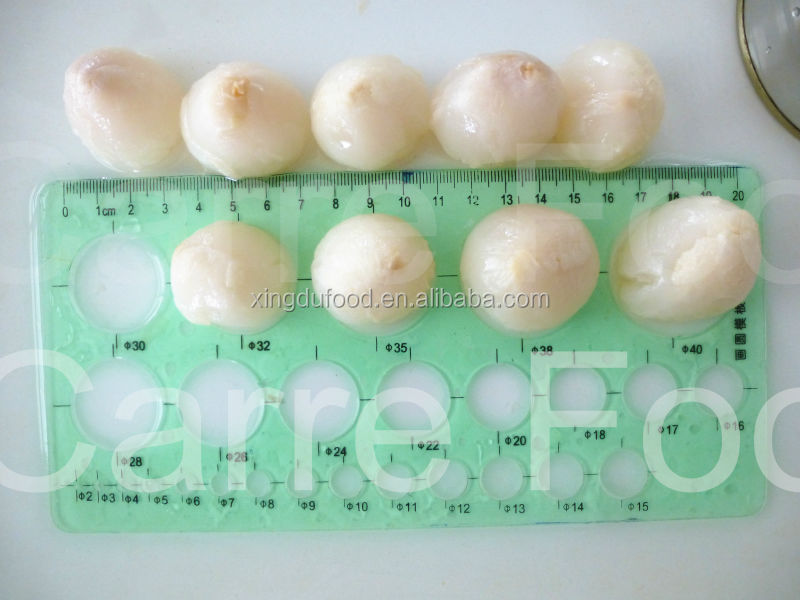 Canned lychee fruit in syrup/canned lychee processing/canned LITCHI