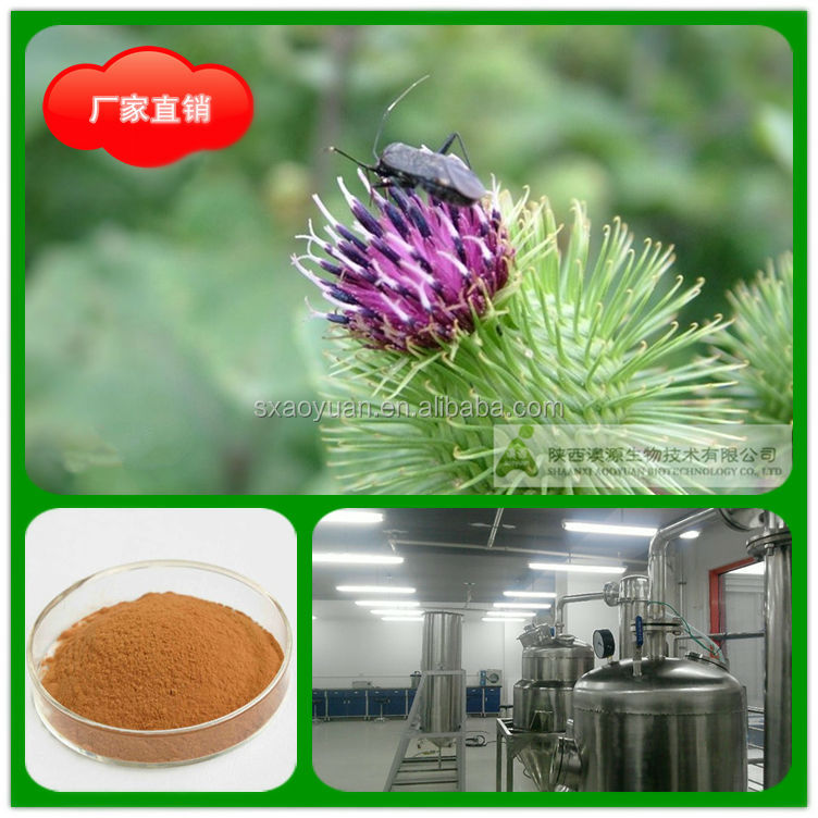 Top Quality Soybean Extract Soy Isoflavone