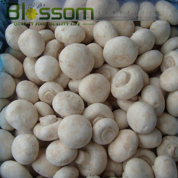 Top quality Frozen champignon mushroom cut natural names all mushrooms