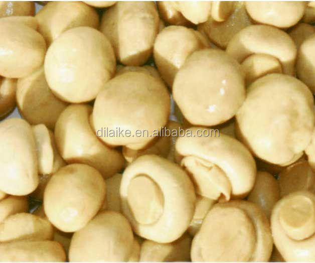 Canned Mushroom quotation