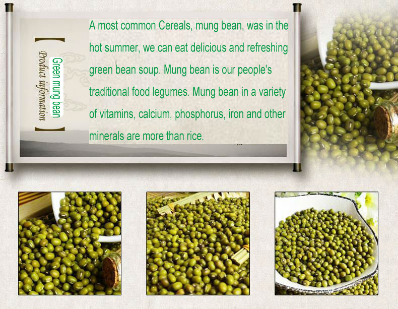 2013 Mung Green Beans for Sprouting with competitive price